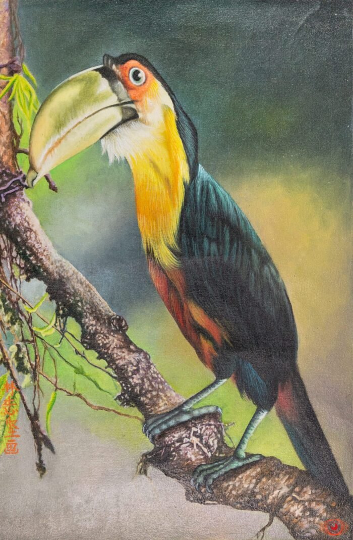 The watchful hornbill