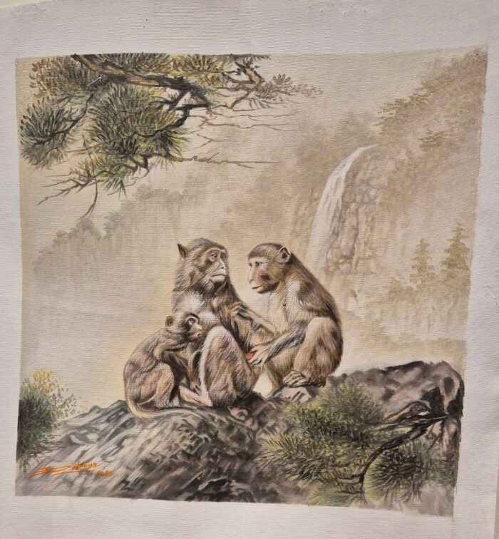 Monkeys Family Bonding