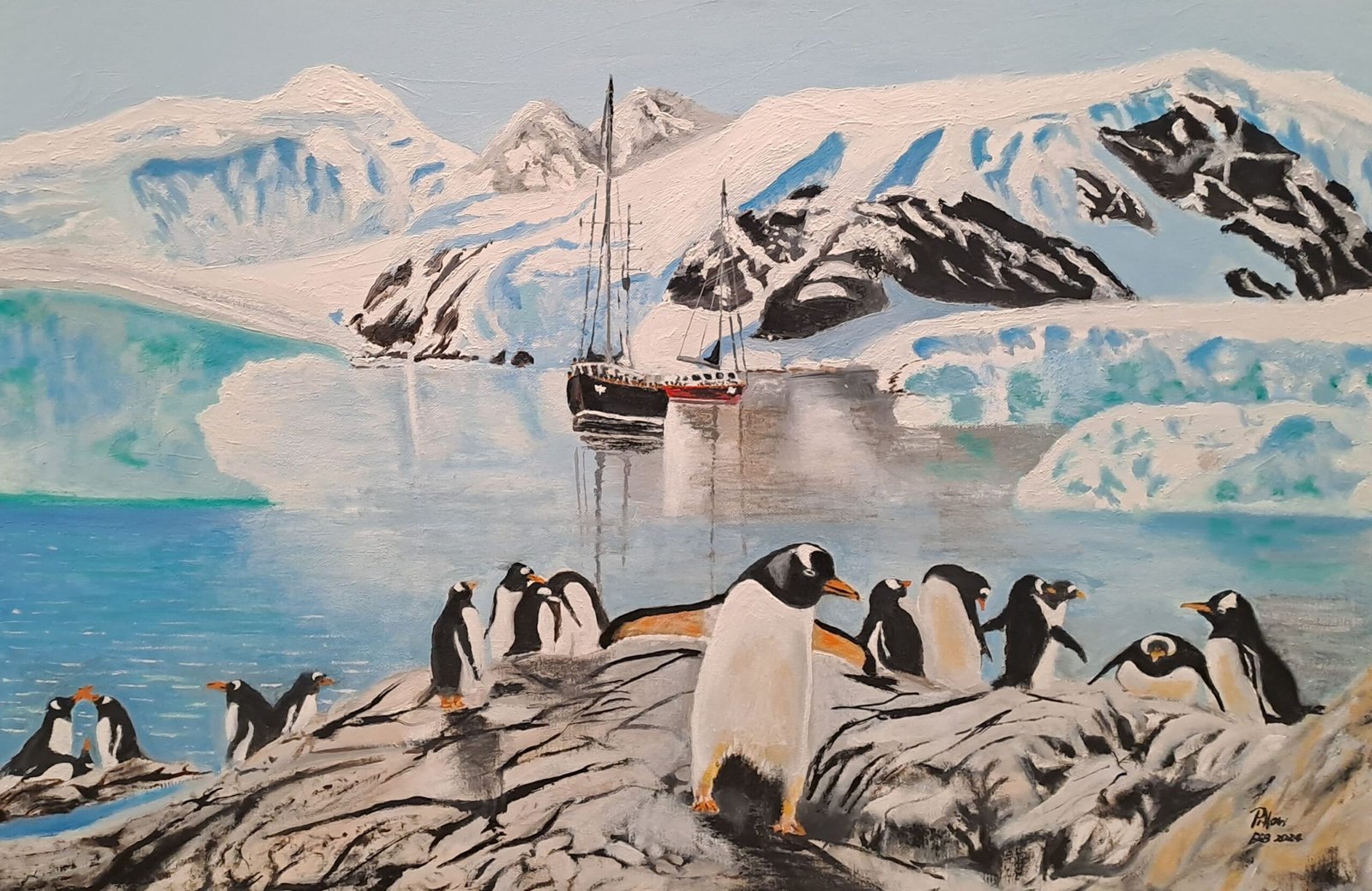 Penguins Antarctic Gatherings