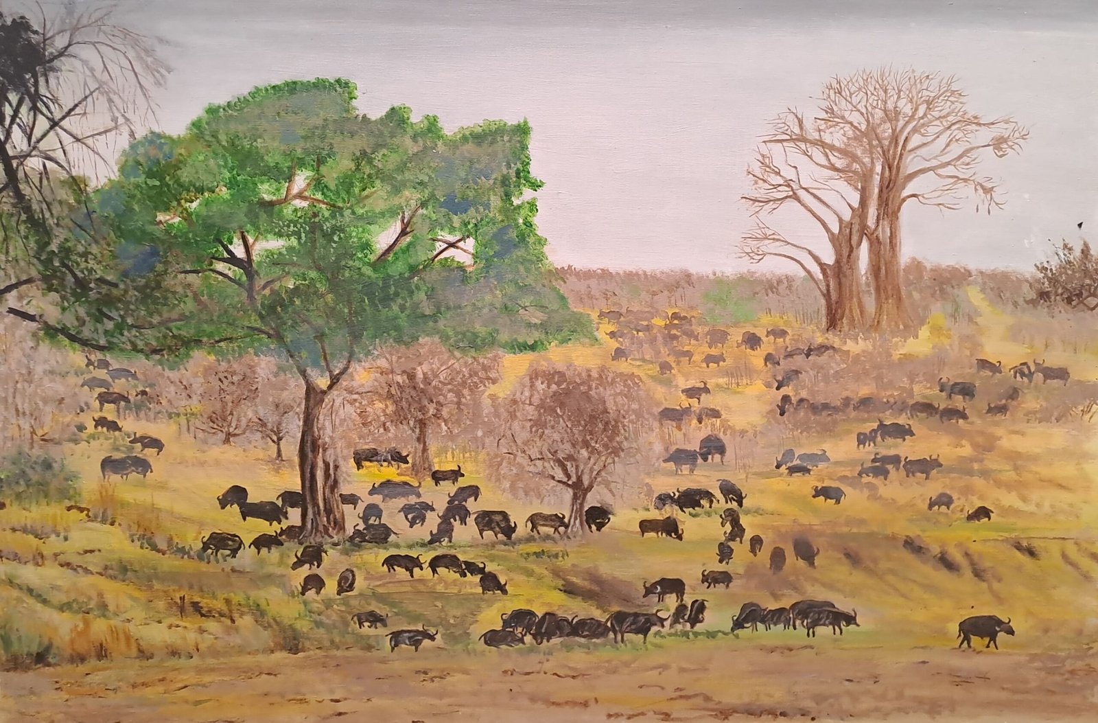 Where the Herd Roams