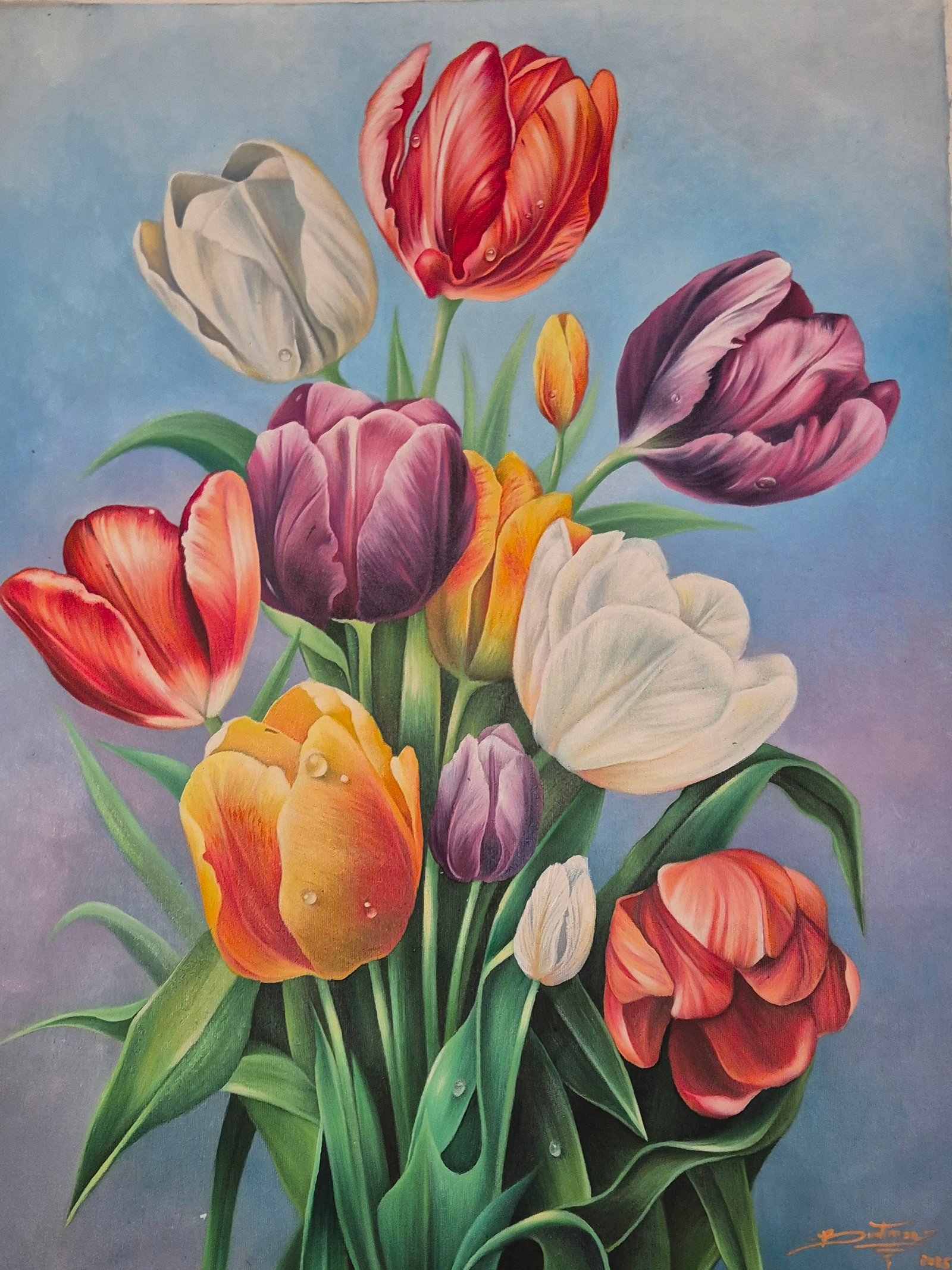 Tulips