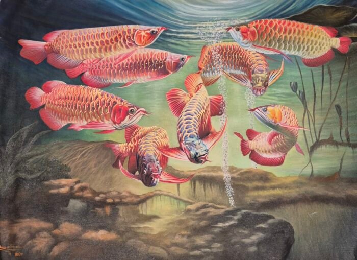Arowana Blessings